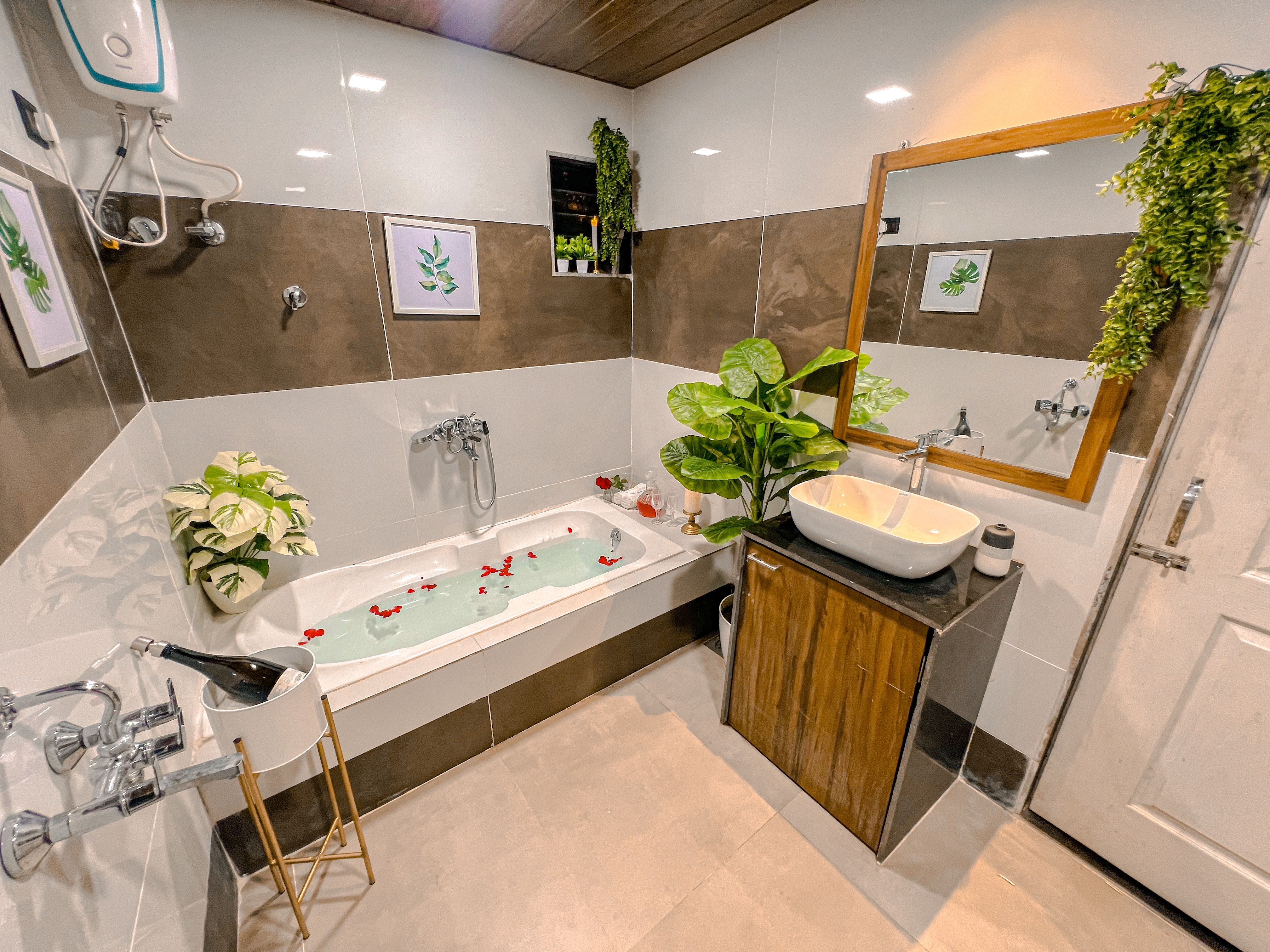 Elegant Room